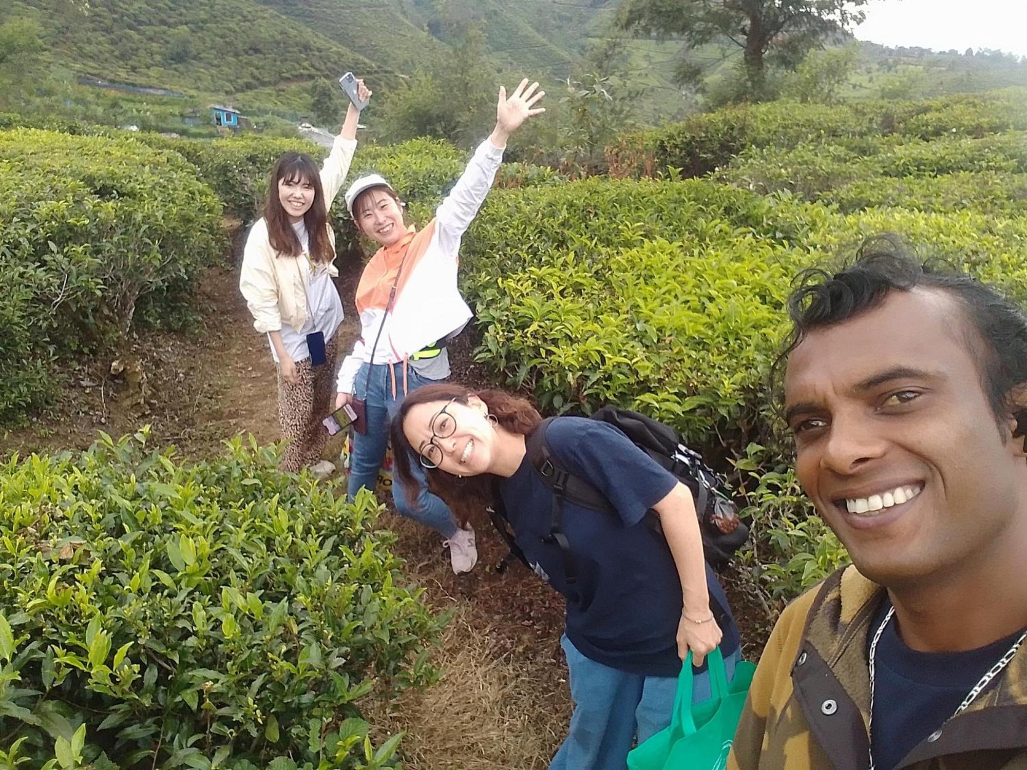 Hikers Inn Nuwara Eliya Kültér fotó